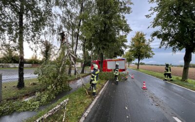 T-Sturm1 / Baum auf Straße