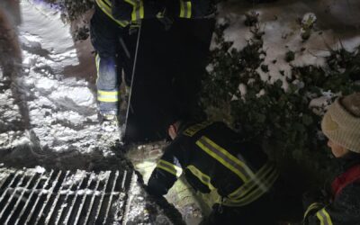 T-TRett K / Katze in Notlage